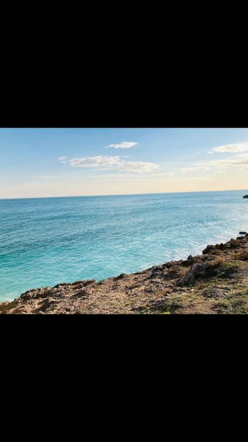 Grand Studio Bord De Mer Plus Piscine سُت المظهر الخارجي الصورة